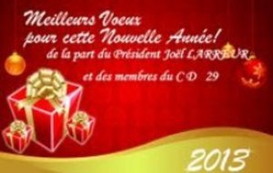 Voeux 2013 - CD FINISTERE FFPJP 