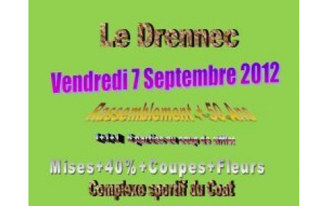 Rassemblement Vétérans au Drennec ...