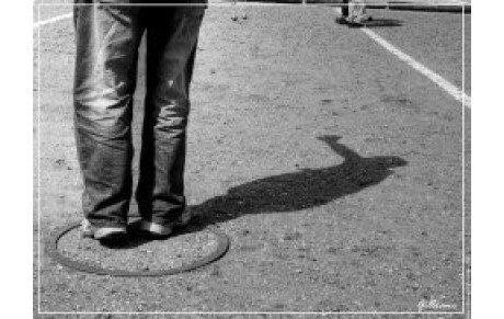 Composition du CDC2A - 2017