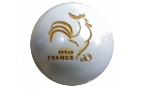 Relevé des décisions du Comité Directeur FFPJP (Novembre 2018)