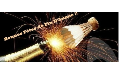 Bonnes Fêtes de Noël !