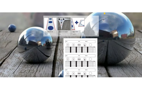 LE TIR DE PRECISION  ....